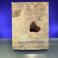 Antony Gormley