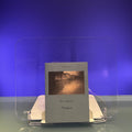 Venices (Pushkin Collection)