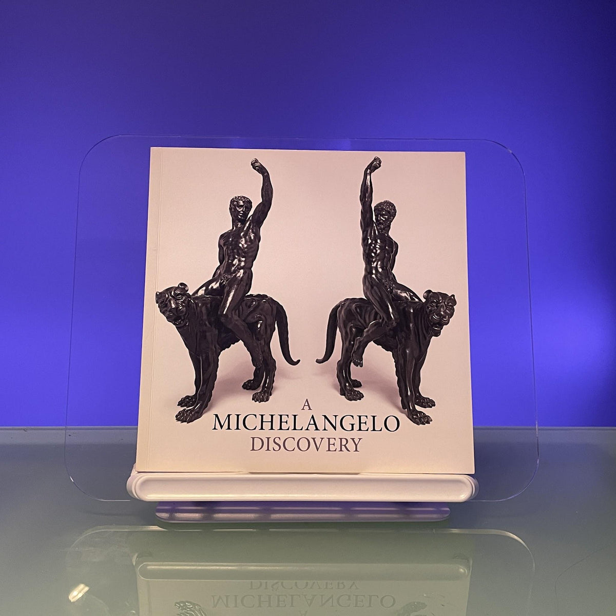 A Michelangelo Discovery
