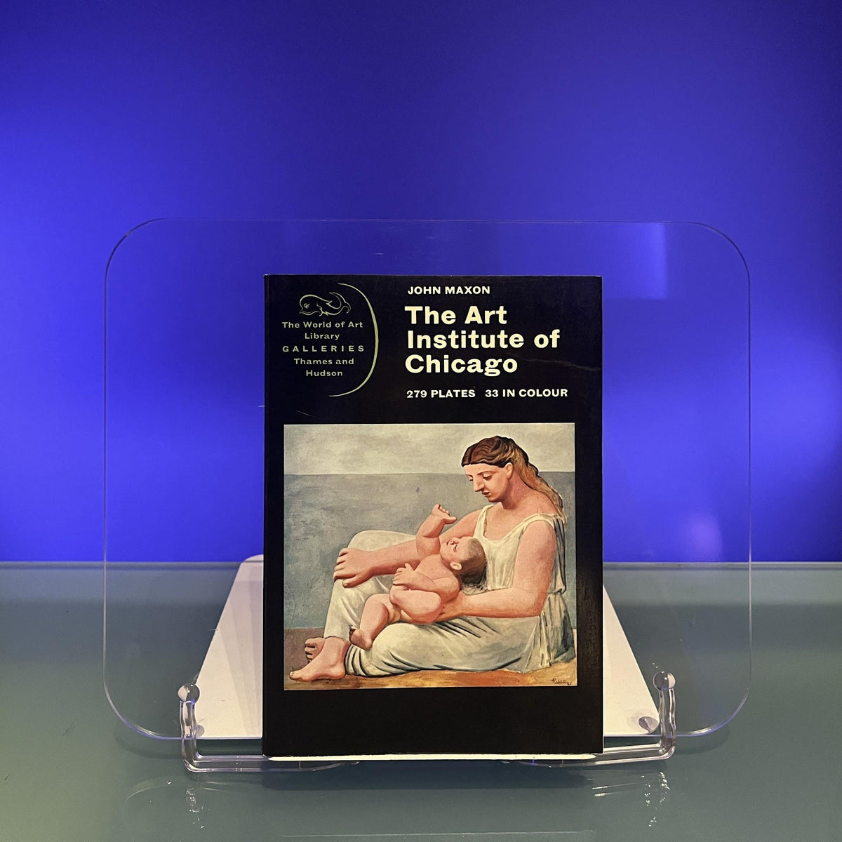 Art Institute of Chicago (World of Art S.)