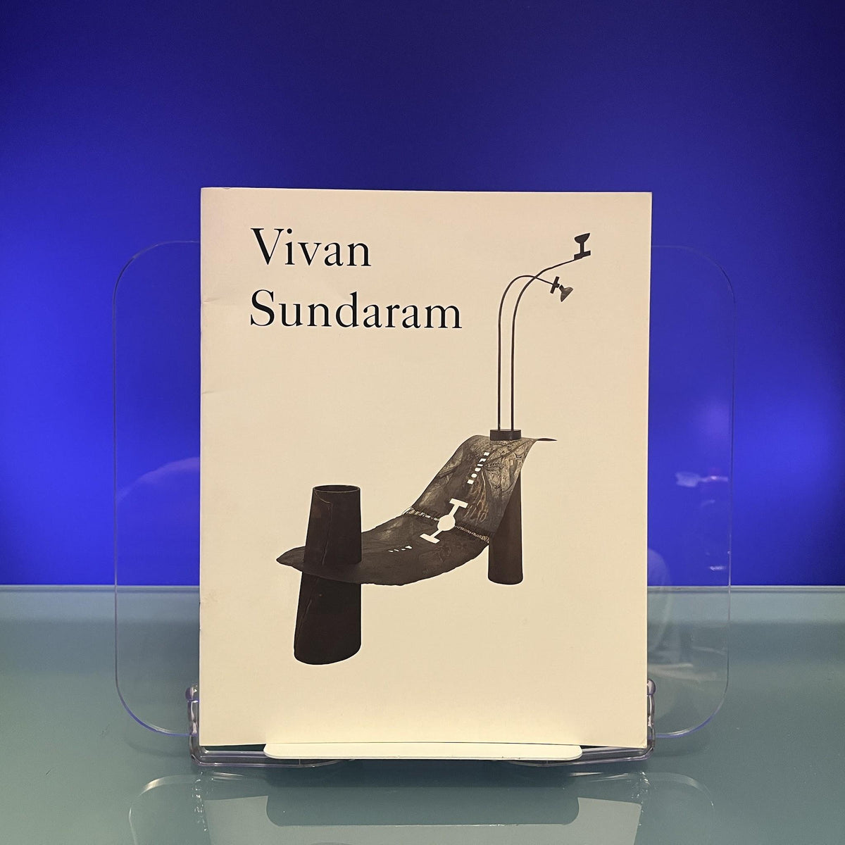 Vivan Sundaram: Map, monument fallen, mortal