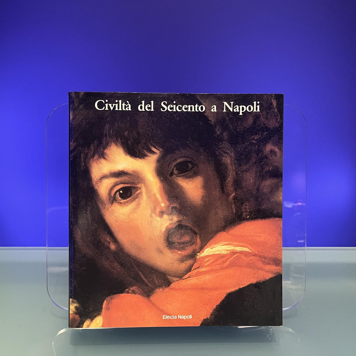 Civiltà del Seicento a Napoli: [catalogo di una mostra al Museo di Capodimonte e al Museo Pignatelli, 1984-1985]