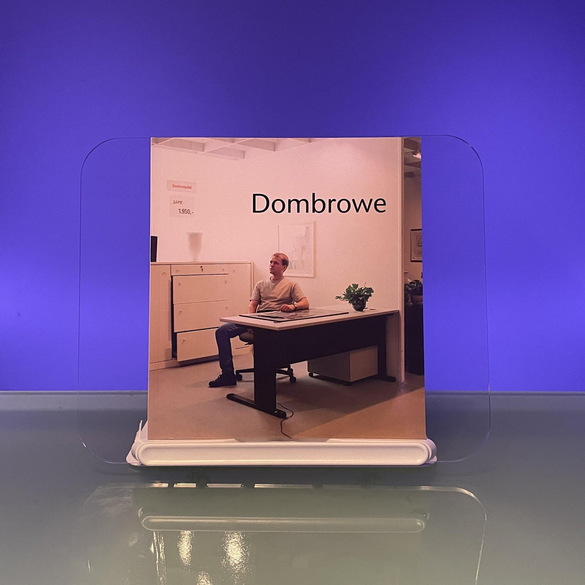 Peter Dombrowe : anläßlich der Ausstellung "Peter Dombrowe / Christopher Muller. Kunstpreis der Stadt Nordhorn 2000" 17. November bis 31. Dezember 2000] / Städtische Galerie Nordhorn