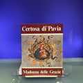 Certosa di Pavia : Madonna delle Grazie