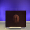 Nature of the Beast: New Sculpture, Drawings and Prints