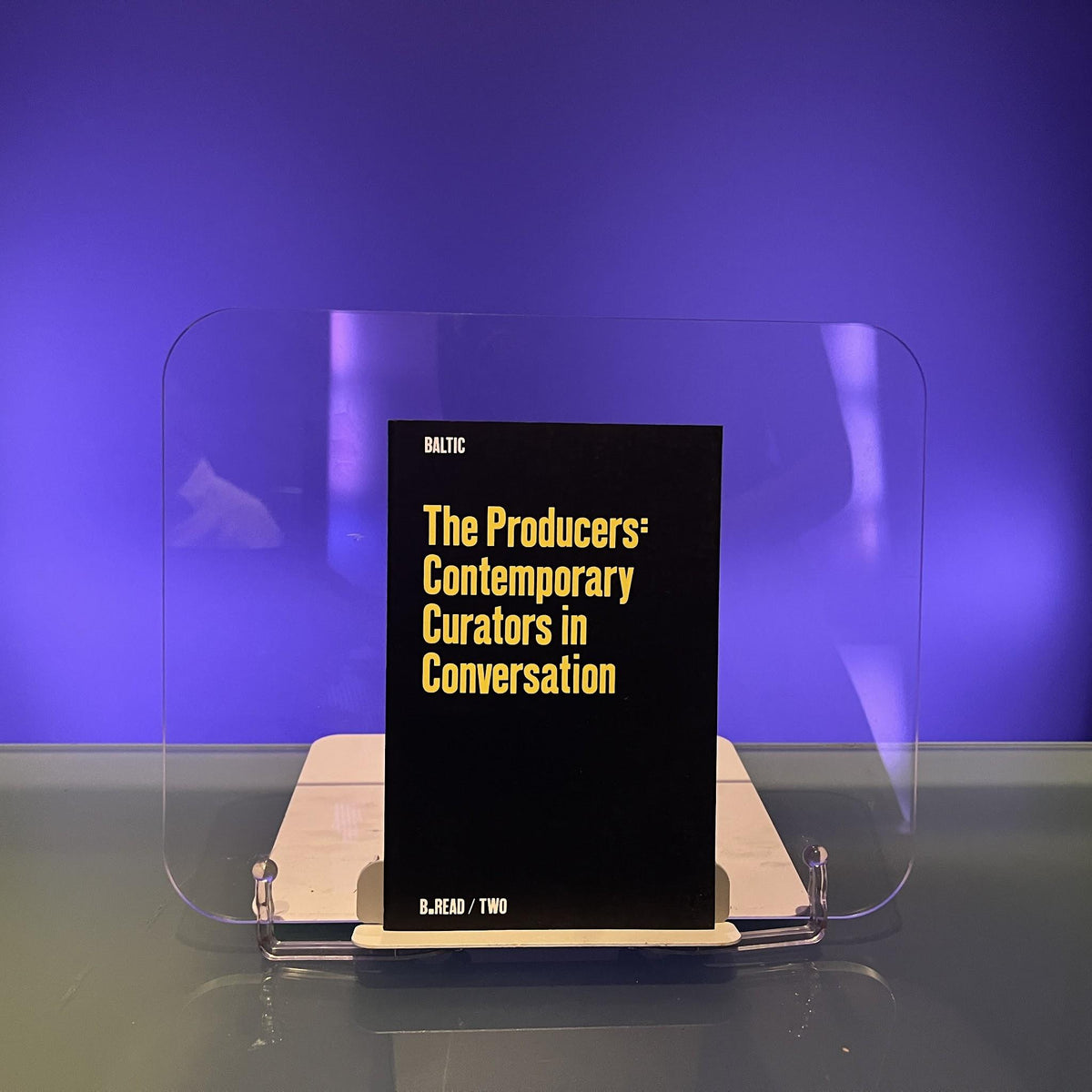 The Producers, The: Contemporary Curators in Conversation: v. 1 (B.Read S.)