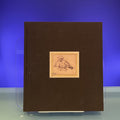 Rembrandt Drawings: Twenty-five Years in the Peck Collection