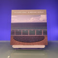 Richard Long : A Moving World