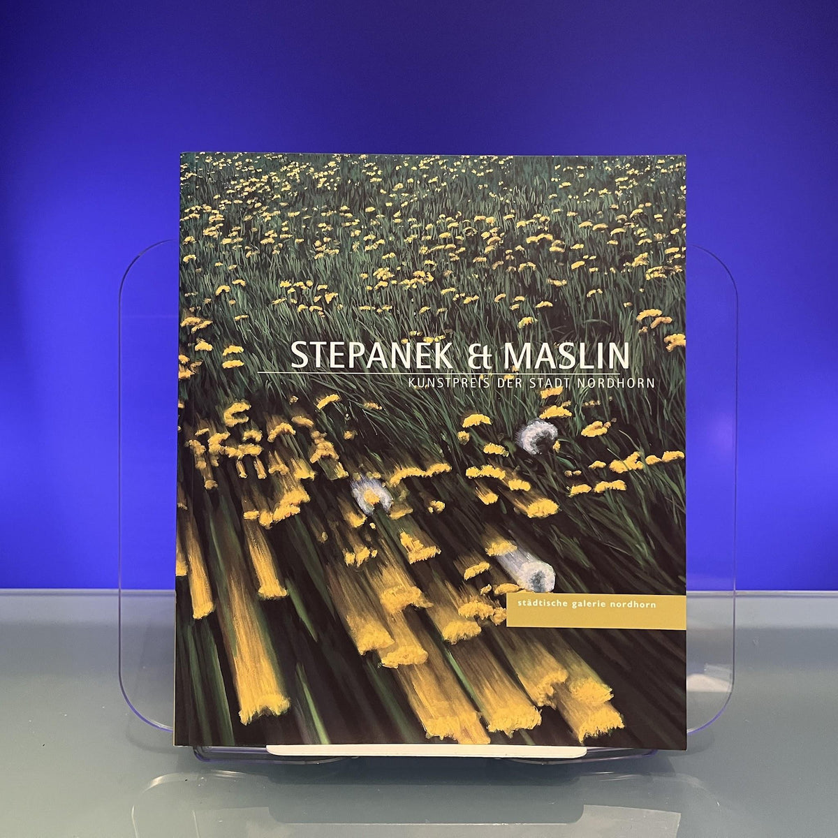 Stepanek & Maslin - Kunstpreis der Stadt Nordhorn