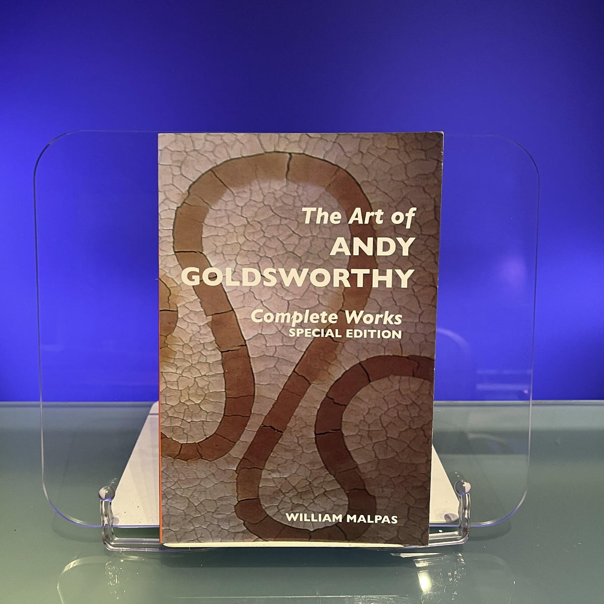The Art of Andy Goldsworthy: Complete Works: Special Edition (Sculptors)