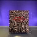 This Will Not Happen without You: From the Collective Archive of The Basement Group, Projects UK and Locus + (1977-2007)