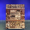 The Christopher Hodsoll Collection [Auction Catalogue, Sotheby's, London, 2002]