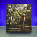Giuseppe Penone: A Tree in the Wood
