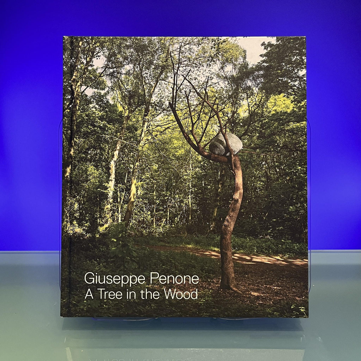 Giuseppe Penone: A Tree in the Wood