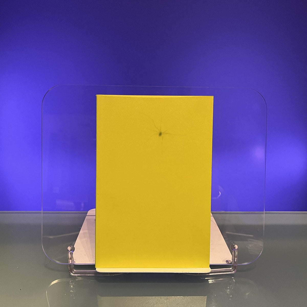 The Greenhouse Effect [Exhibition Catalogue: Serpintine Gallery, London]