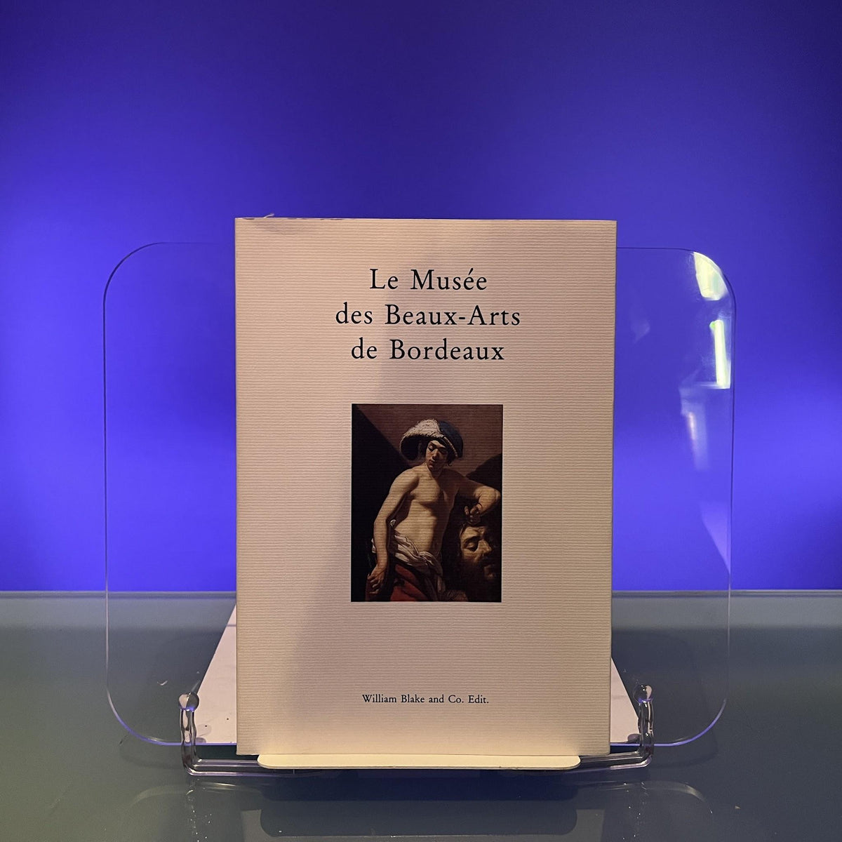 Le Musée des Beaux-Arts de Bordeaux: Guide des collections