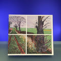David Hockney: A Year in Yorkshire