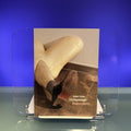 Robert Gober : Forskyvninger/ Displacements