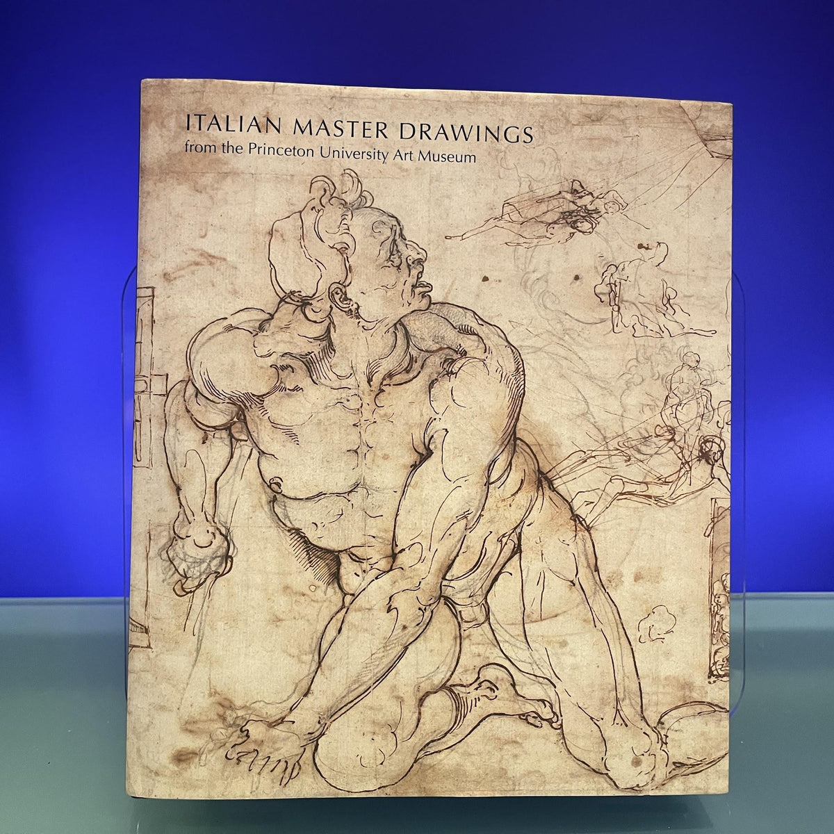 Italian Master Drawings from the Princeton University Art Museum (Princeton University Art Museum Monograph Series)
