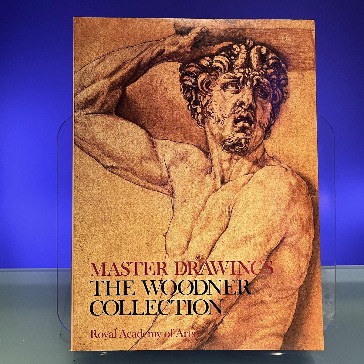 Master Drawings : The Woodner Collection