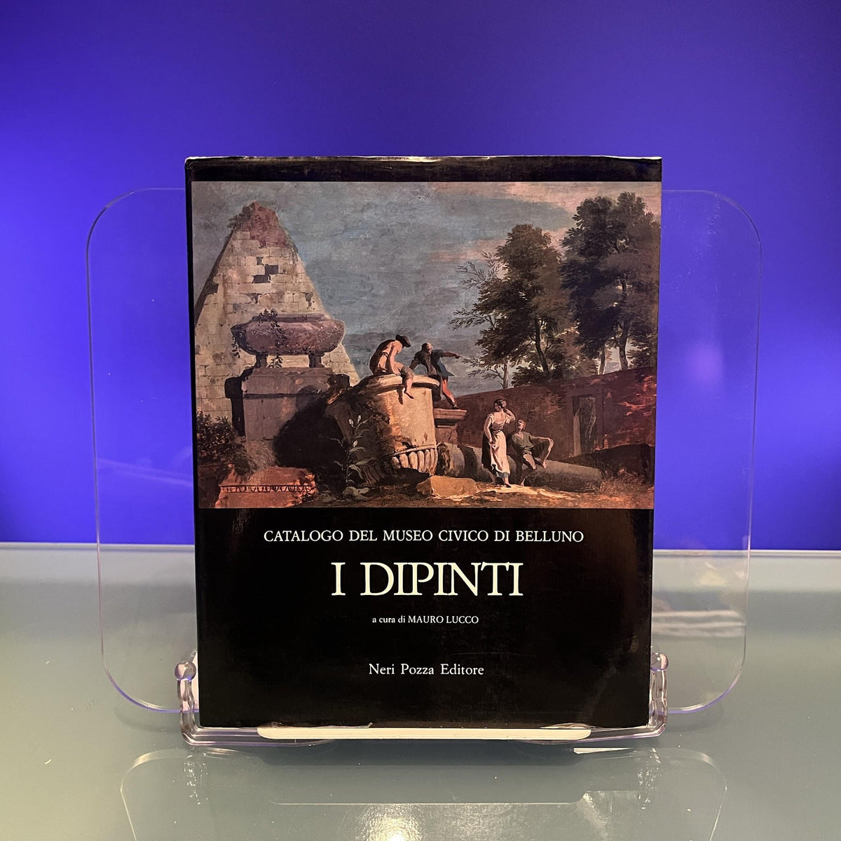 Catalogo del Museo Civico di Belluno : I Dipinti