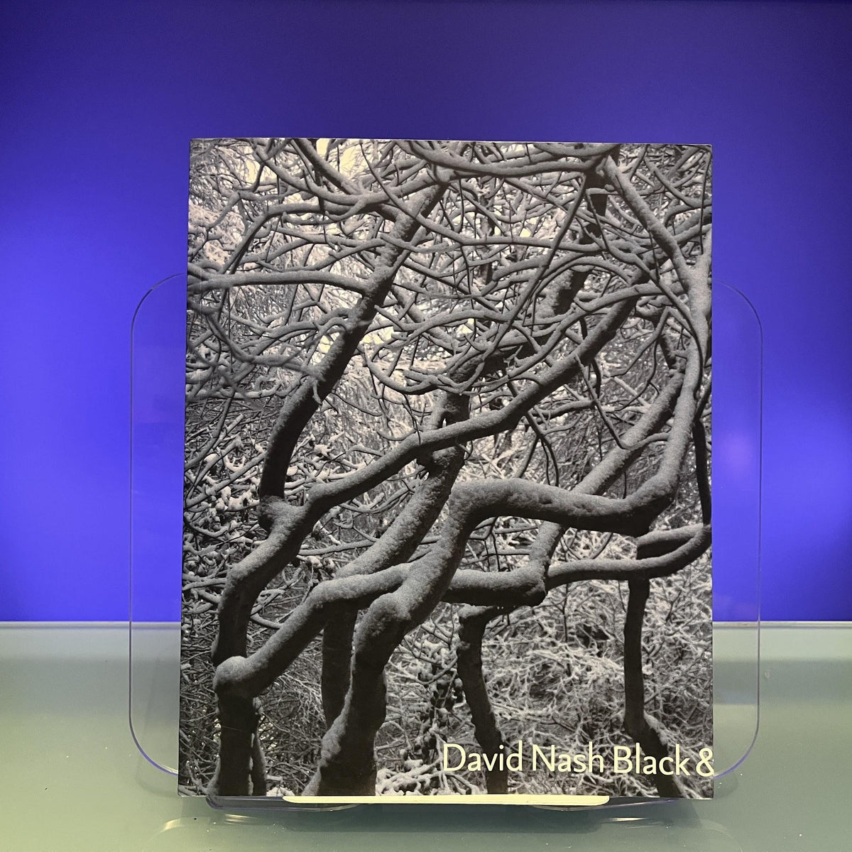 David Nash : Black and Light