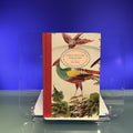 Early English Porcelain (Decorative Arts Library S.)