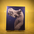 Rodin rediscovered